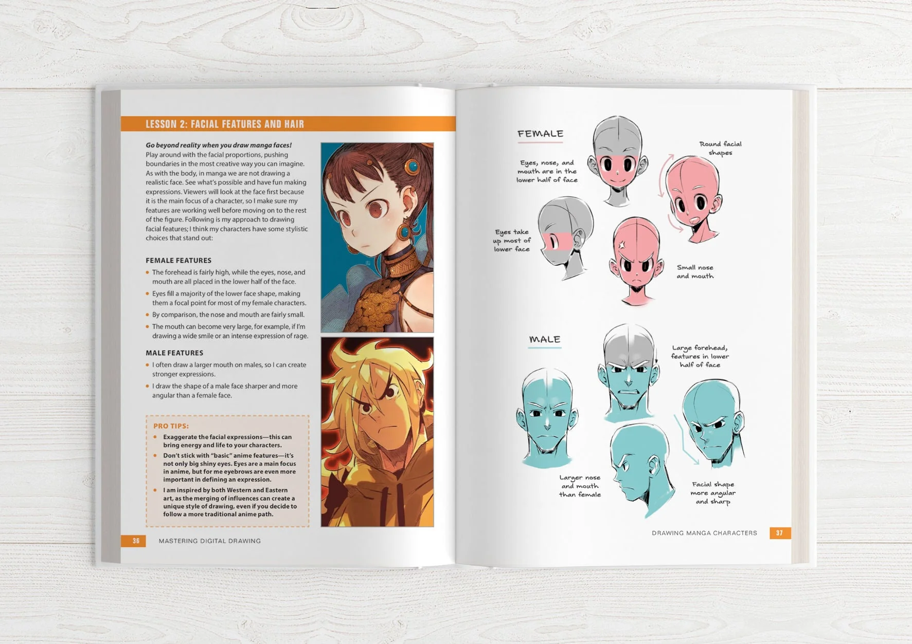 Zero to Hero bundle (HARDCOVER + EBOOKS) - Image 11